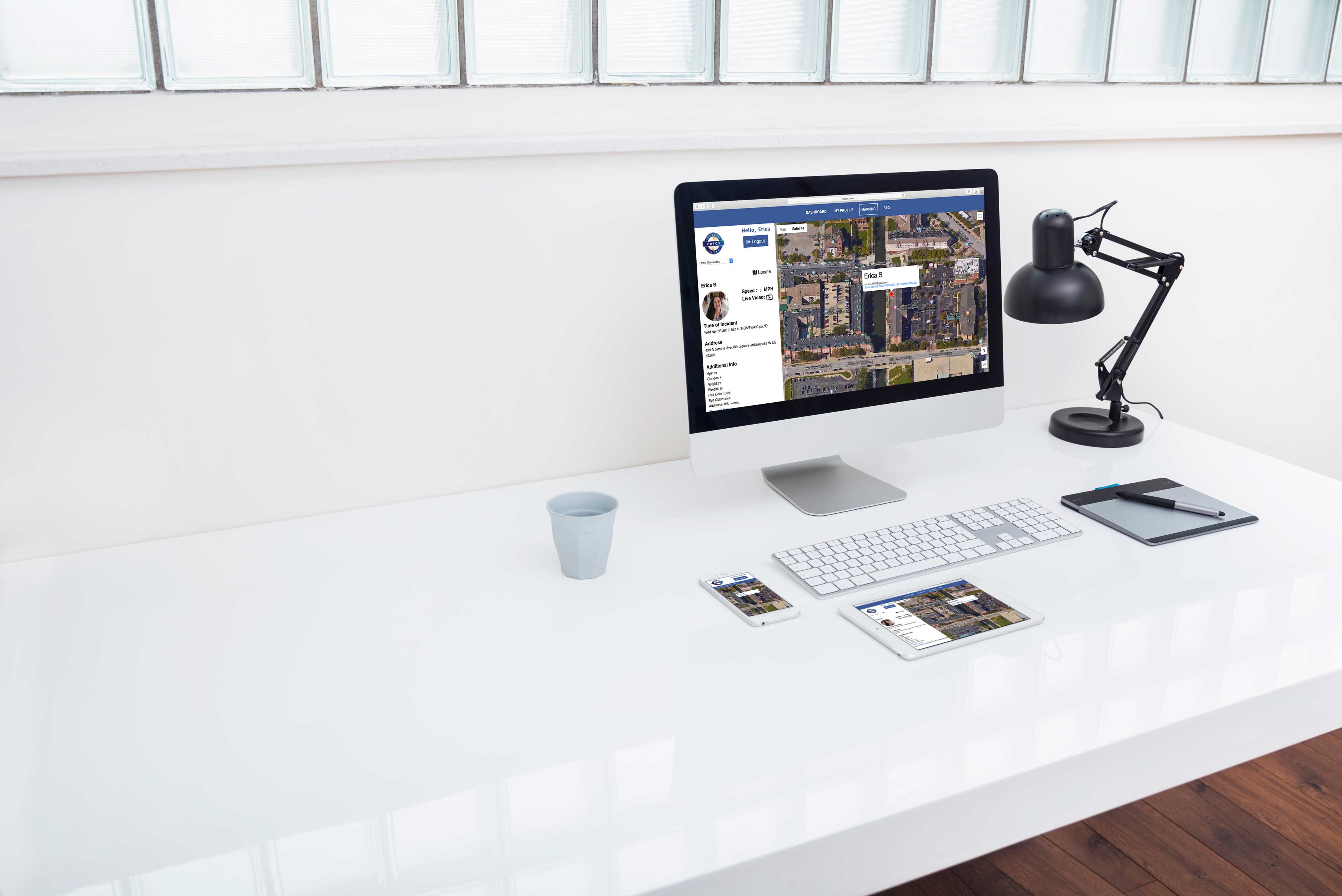 Computer screenshot showing a satellite view for the mapping system